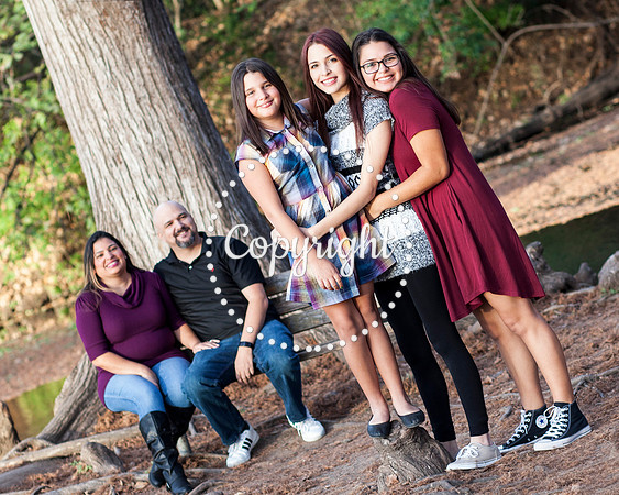 Family Photo Session