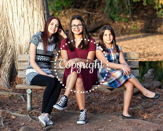 Family Photo Session