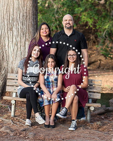 Family Photo Session