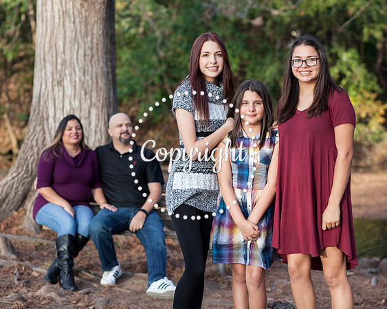 Family Photo Session