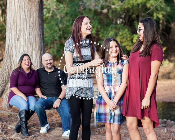 Family Photo Session