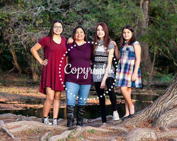 Family Photo Session
