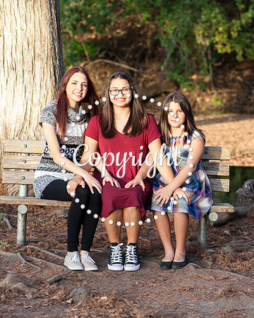 Family Photo Session