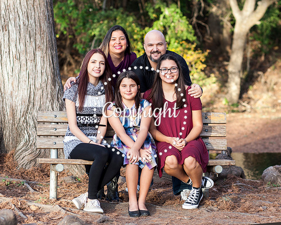 Family Photo Session