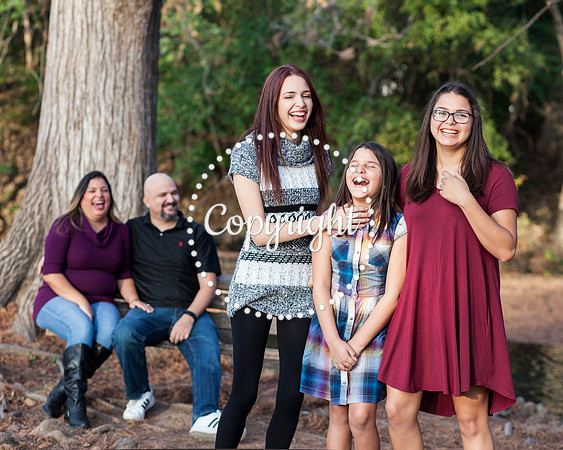 Family Photo Session