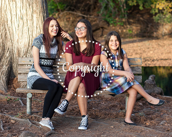 Family Photo Session