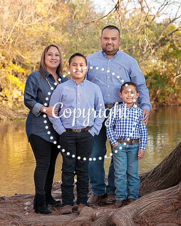 Family Photo Shoot