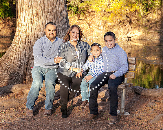 Family Photo Shoot