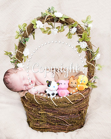 Baby Newborn Photography