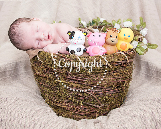 Baby Newborn Photography
