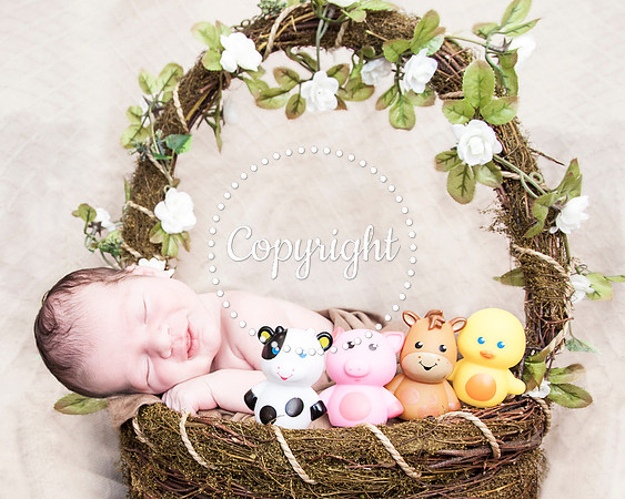 Baby Newborn Photography
