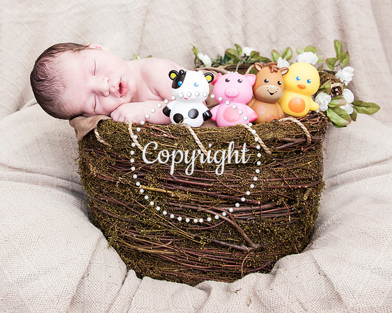 Baby Newborn Photography