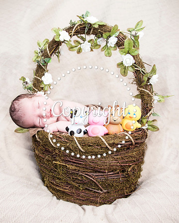 Baby Newborn Photography