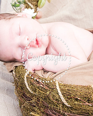 Baby Newborn Photography