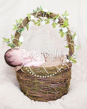 Baby Newborn Photography