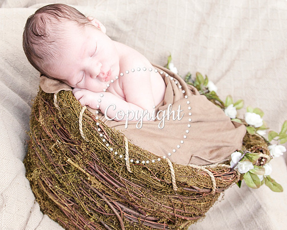 Baby Newborn Photography