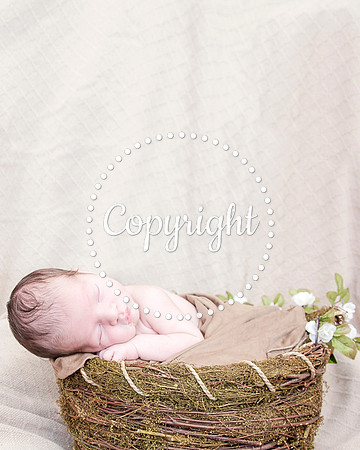 Baby Newborn Photography