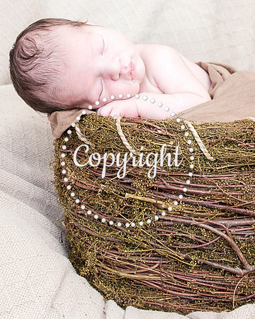 Baby Newborn Photography