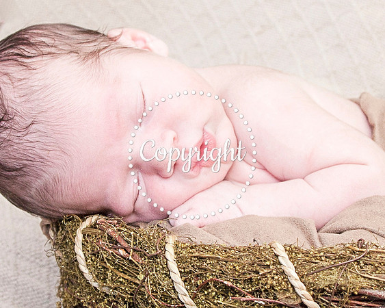 Baby Newborn Photography