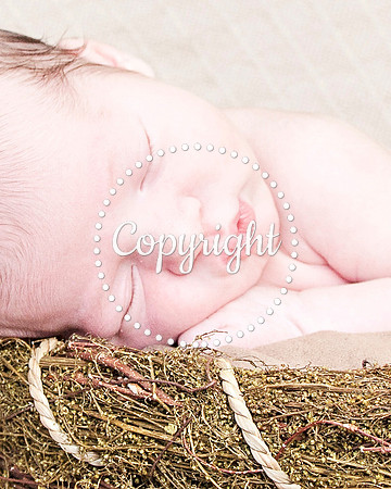 Baby Newborn Photography