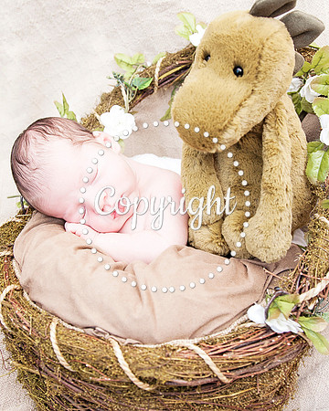 Baby Newborn Photography