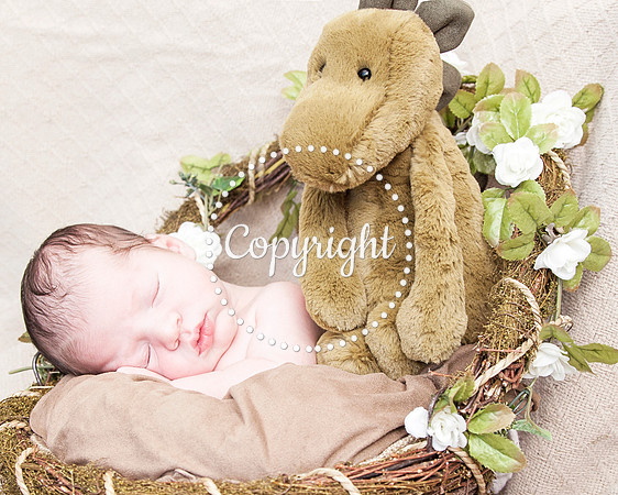Baby Newborn Photography