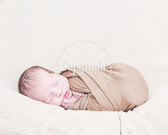 Baby Newborn Photography
