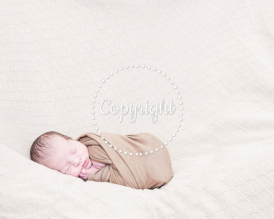 Baby Newborn Photography