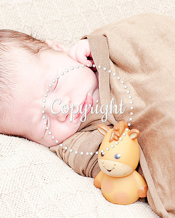 Baby Newborn Photography