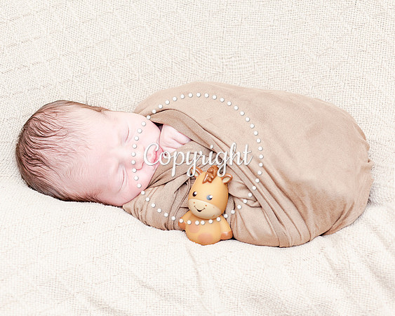 Baby Newborn Photography